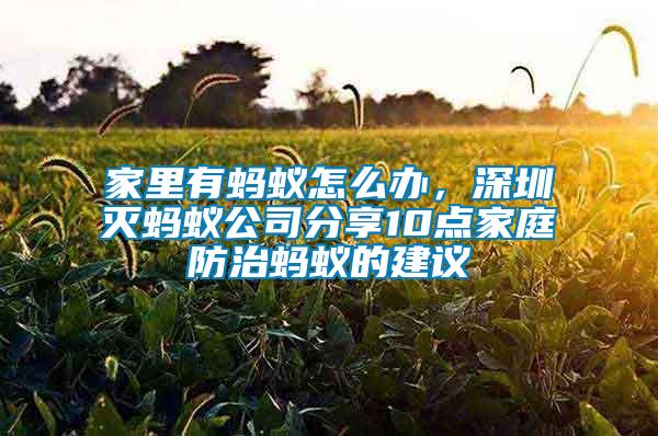 家里有螞蟻怎么辦，深圳滅螞蟻公司分享10點家庭防治螞蟻的建議