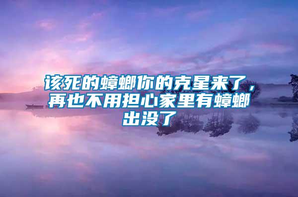 該死的蟑螂你的克星來了，再也不用擔(dān)心家里有蟑螂出沒了