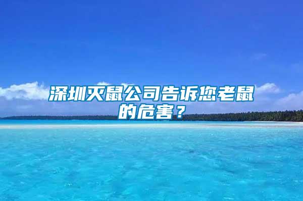 深圳滅鼠公司告訴您老鼠的危害？