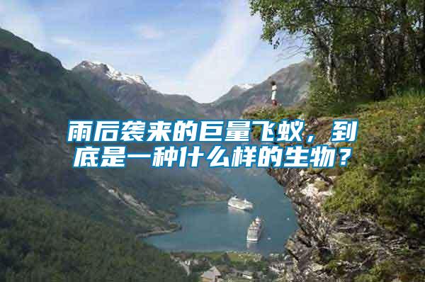 雨后襲來的巨量飛蟻，到底是一種什么樣的生物？