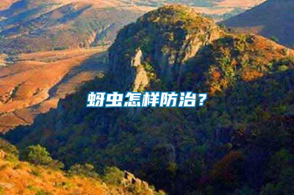 蚜蟲怎樣防治？