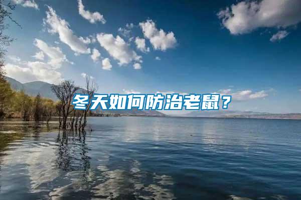 冬天如何防治老鼠？