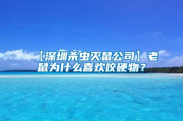 【深圳殺蟲滅鼠公司】老鼠為什么喜歡咬硬物？