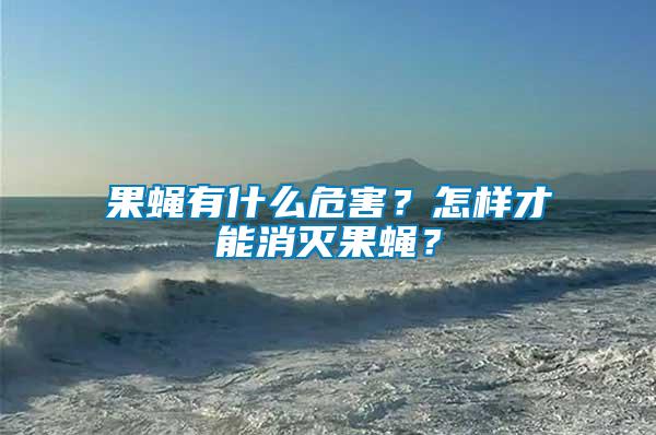 果蠅有什么危害？怎樣才能消滅果蠅？