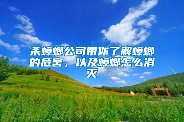殺蟑螂公司帶你了解蟑螂的危害，以及蟑螂怎么消滅
