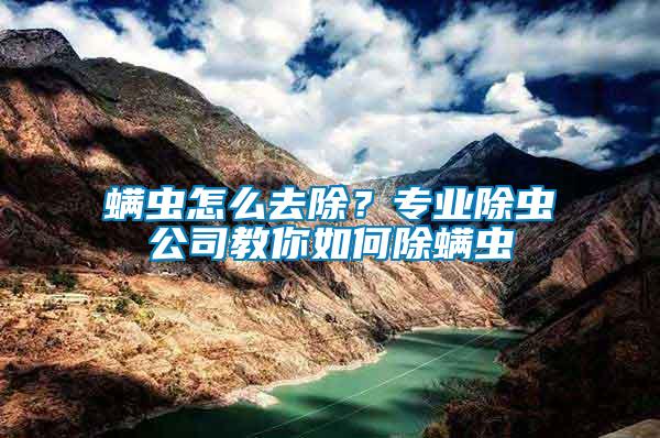 螨蟲怎么去除？專業(yè)除蟲公司教你如何除螨蟲