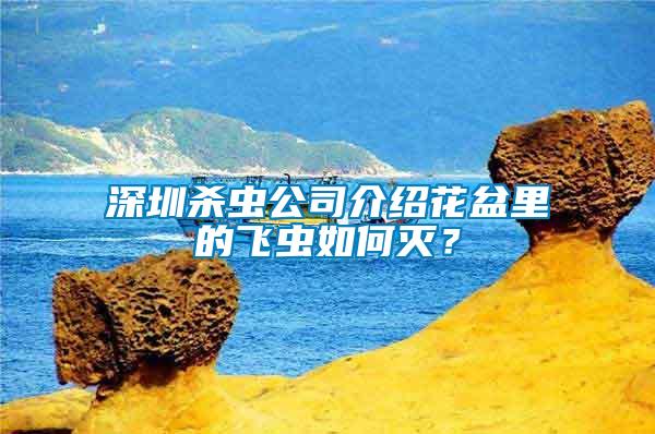 深圳殺蟲公司介紹花盆里的飛蟲如何滅？