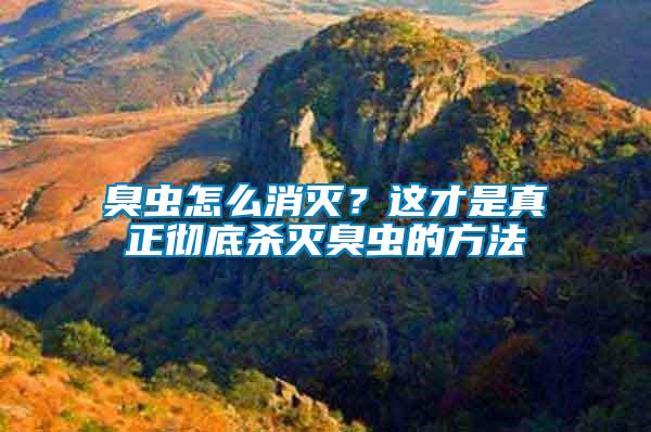 臭蟲(chóng)怎么消滅？這才是真正徹底殺滅臭蟲(chóng)的方法