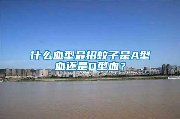 什么血型最招蚊子是A型血還是O型血？