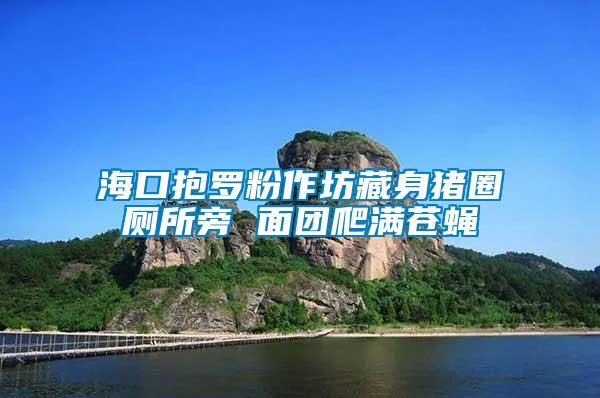 ?？诒Я_粉作坊藏身豬圈廁所旁 面團(tuán)爬滿蒼蠅