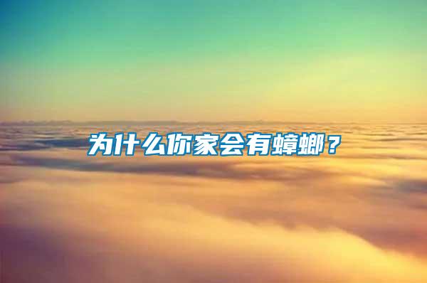 為什么你家會(huì)有蟑螂？