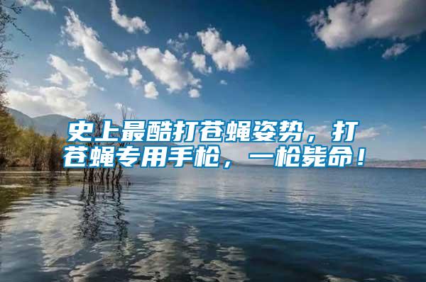 史上最酷打蒼蠅姿勢，打蒼蠅專用手槍，一槍斃命！