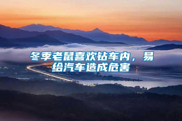 冬季老鼠喜歡鉆車內(nèi)，易給汽車造成危害