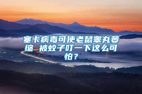 塞卡病毒可使老鼠睪丸萎縮 被蚊子叮一下這么可怕？
