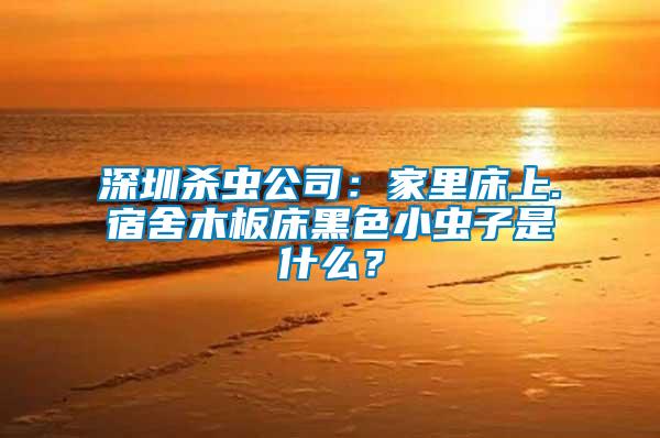 深圳殺蟲(chóng)公司：家里床上.宿舍木板床黑色小蟲(chóng)子是什么？