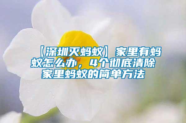 【深圳滅螞蟻】家里有螞蟻怎么辦，4個(gè)徹底清除家里螞蟻的簡(jiǎn)單方法