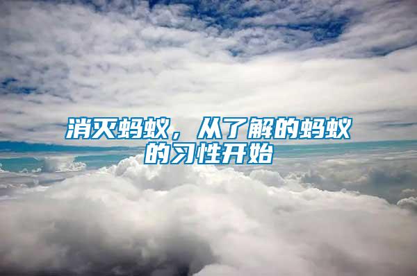 消滅螞蟻，從了解的螞蟻的習性開始
