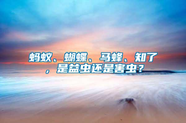 螞蟻、蝴蝶、馬蜂、知了，是益蟲還是害蟲？