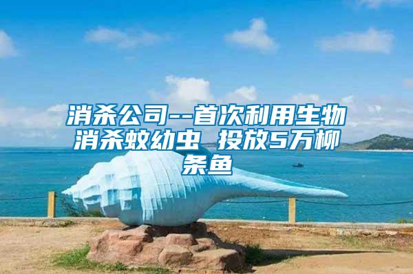 消殺公司--首次利用生物消殺蚊幼蟲(chóng) 投放5萬(wàn)柳條魚(yú)