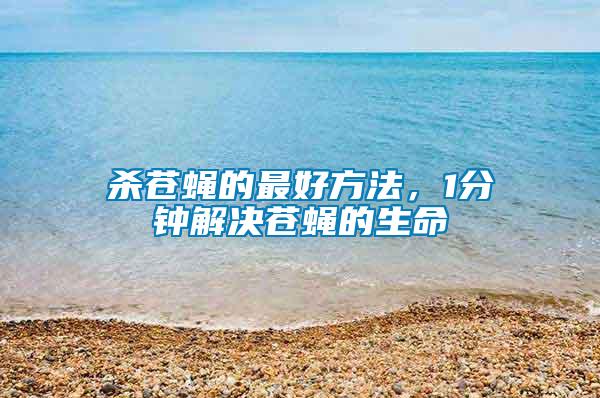 殺蒼蠅的最好方法，1分鐘解決蒼蠅的生命