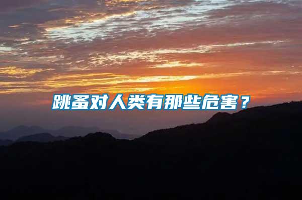 跳蚤對(duì)人類有那些危害？