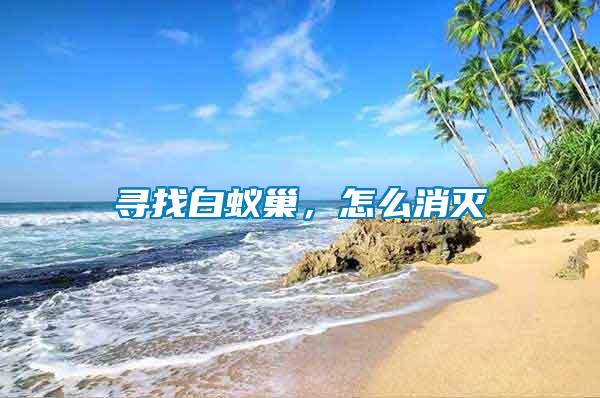 尋找白蟻巢，怎么消滅