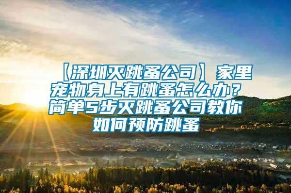 【深圳滅跳蚤公司】家里寵物身上有跳蚤怎么辦？簡單5步滅跳蚤公司教你如何預(yù)防跳蚤