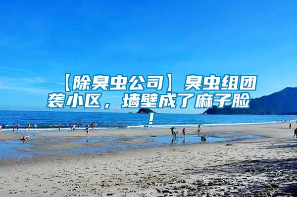 【除臭蟲公司】臭蟲組團(tuán)襲小區(qū)，墻壁成了麻子臉！