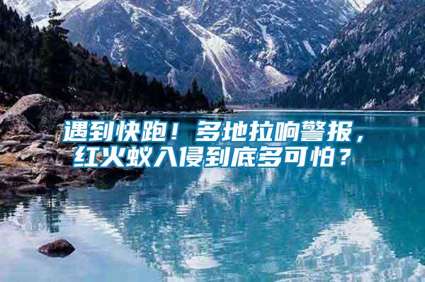 遇到快跑！多地拉響警報(bào)，紅火蟻入侵到底多可怕？