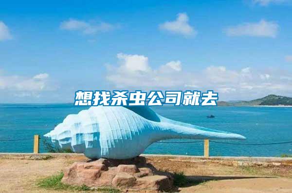 想找殺蟲(chóng)公司就去