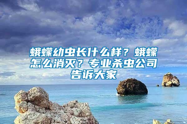 蛾蠓幼蟲長(zhǎng)什么樣？蛾蠓怎么消滅？專業(yè)殺蟲公司告訴大家