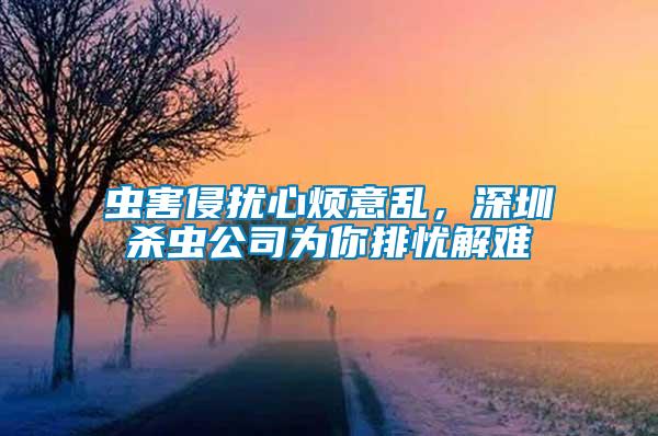 蟲(chóng)害侵?jǐn)_心煩意亂，深圳殺蟲(chóng)公司為你排憂解難