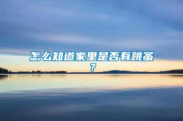 怎么知道家里是否有跳蚤？