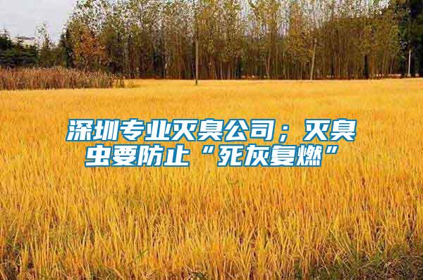 深圳專業(yè)滅臭公司；滅臭蟲要防止“死灰復(fù)燃”