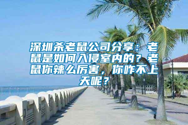深圳殺老鼠公司分享：老鼠是如何入侵室內(nèi)的？老鼠你辣么厲害，你咋不上天呢？