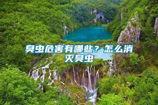 臭蟲(chóng)危害有哪些？怎么消滅臭蟲(chóng)