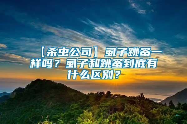 【殺蟲公司】虱子跳蚤一樣嗎？虱子和跳蚤到底有什么區(qū)別？