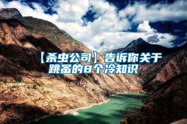 【殺蟲(chóng)公司】告訴你關(guān)于跳蚤的8個(gè)冷知識(shí)