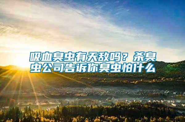 吸血臭蟲(chóng)有天敵嗎？殺臭蟲(chóng)公司告訴你臭蟲(chóng)怕什么