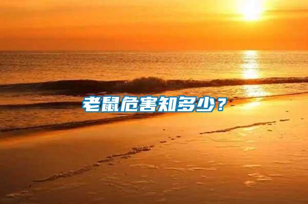 老鼠危害知多少？