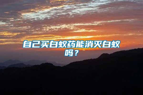 自己買白蟻藥能消滅白蟻嗎？