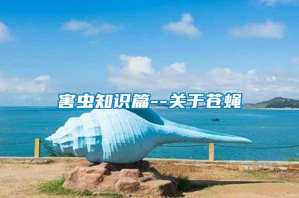 害蟲(chóng)知識(shí)篇--關(guān)于蒼蠅