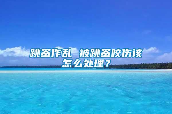 跳蚤作亂 被跳蚤咬傷該怎么處理？