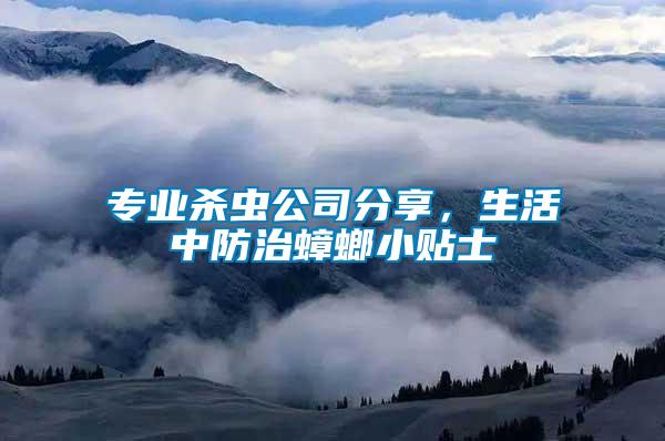 專業(yè)殺蟲公司分享，生活中防治蟑螂小貼士