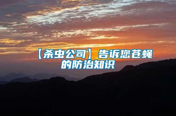 【殺蟲(chóng)公司】告訴您蒼蠅的防治知識(shí)