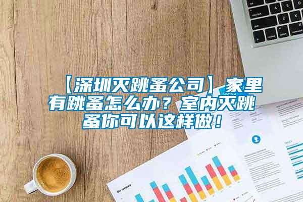 【深圳滅跳蚤公司】家里有跳蚤怎么辦？室內(nèi)滅跳蚤你可以這樣做！