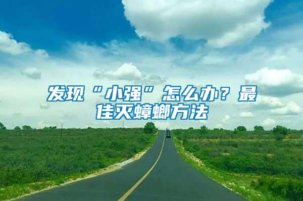 發(fā)現(xiàn)“小強(qiáng)”怎么辦？最佳滅蟑螂方法
