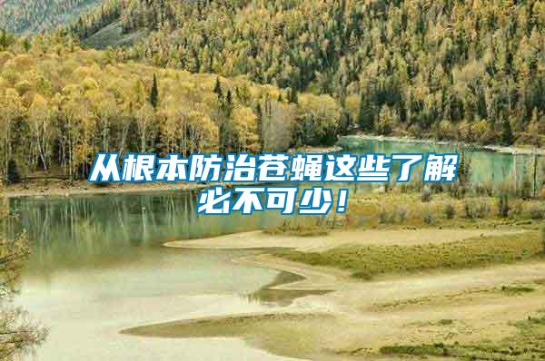 從根本防治蒼蠅這些了解必不可少！