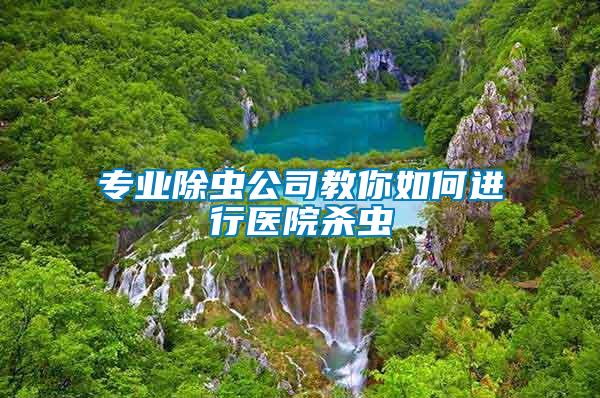 專業(yè)除蟲公司教你如何進(jìn)行醫(yī)院殺蟲