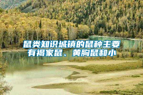 鼠類知識城鎮(zhèn)的鼠種主要有褐家鼠、黃胸鼠和小